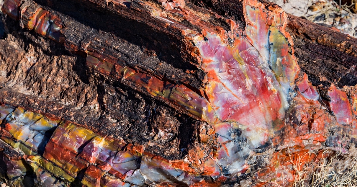 petrified-forest-national-park
