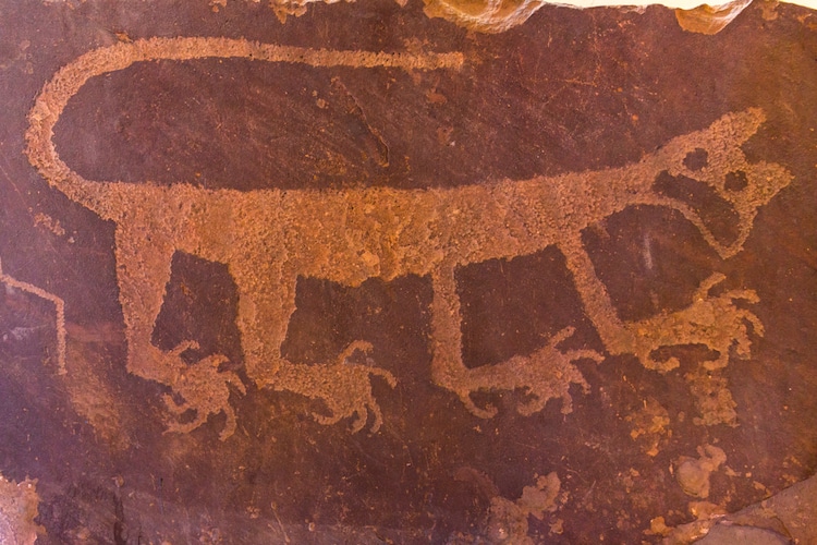 Petroglyph from Newspaper Rock in the Petrified Forest National Park