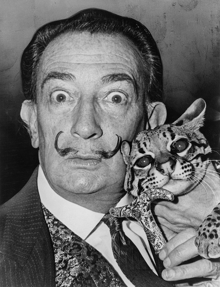 Portrait de Salvador Dalí