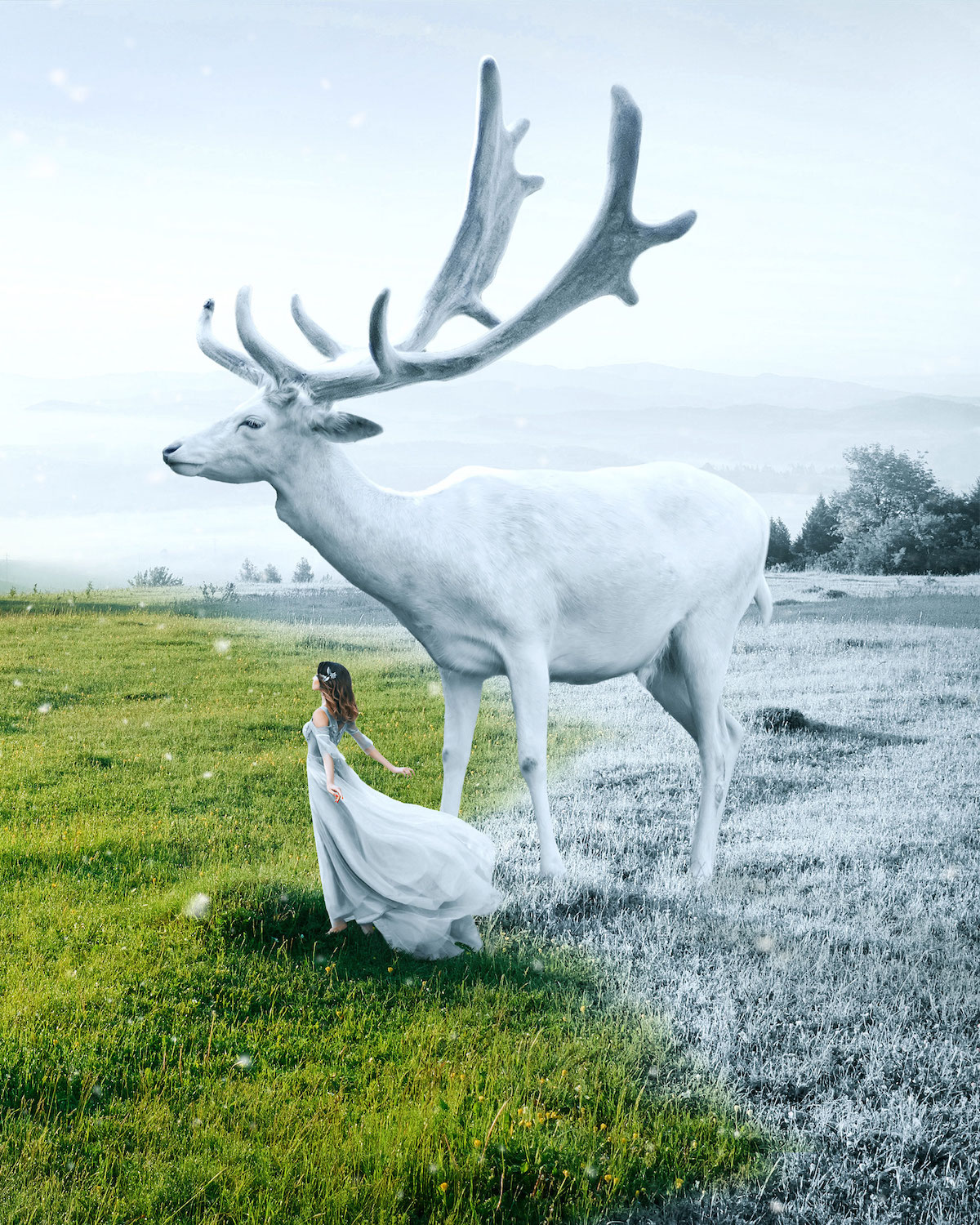 Creative Photo Manipulations by Ted Chin