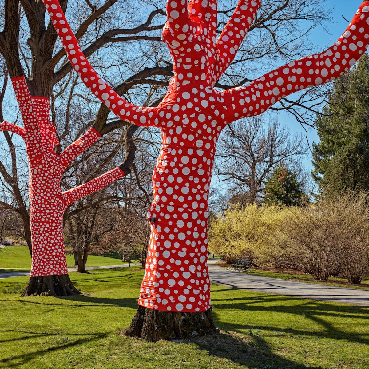 Yayoi Kusama Exhibition at the New York Botanical Gardens