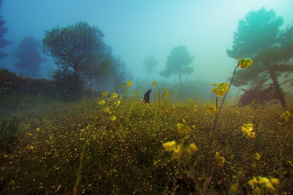 Velvet Kingdom of Southern Europe