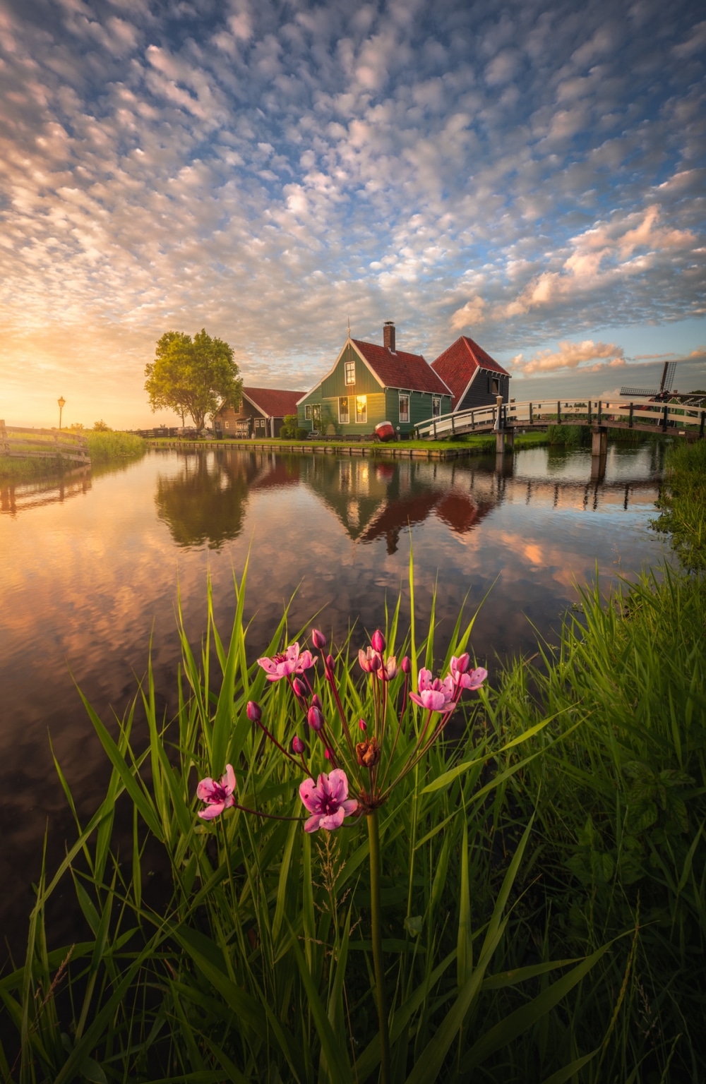 Beauty of the Netherlands in the Springtime Captured in Breathtaking