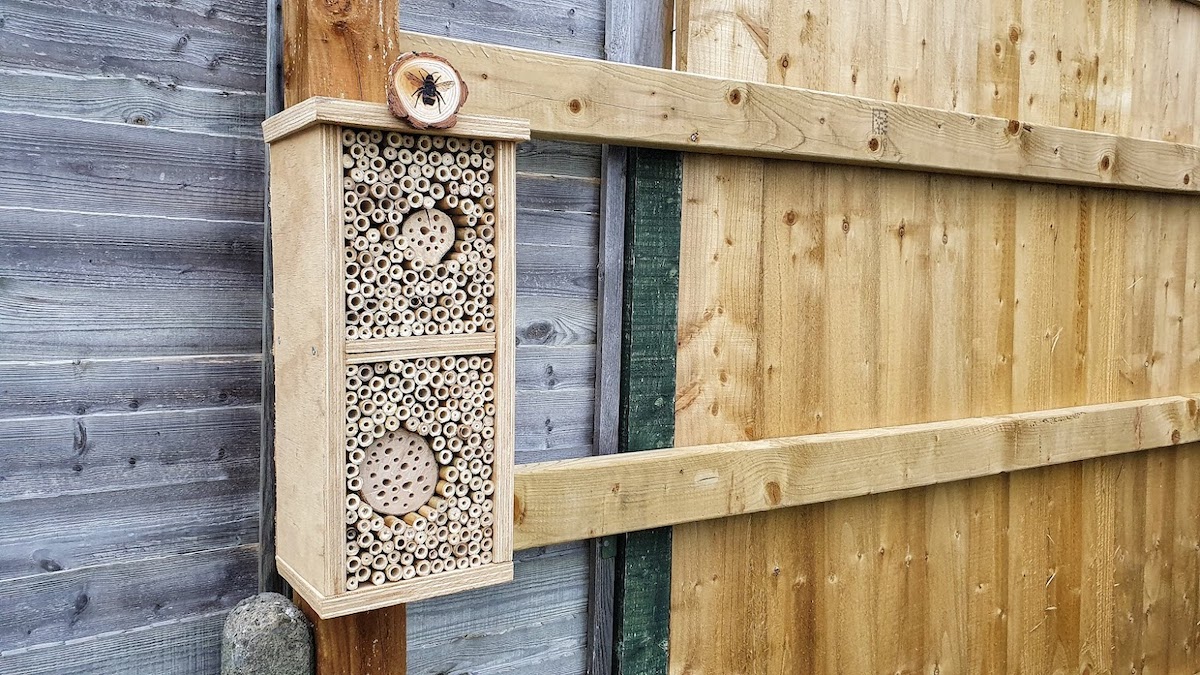 Bee Hotel by Josh Forwood