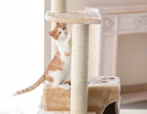 Craft Your Own Kitty Playground When You Create a DIY Cat Tower