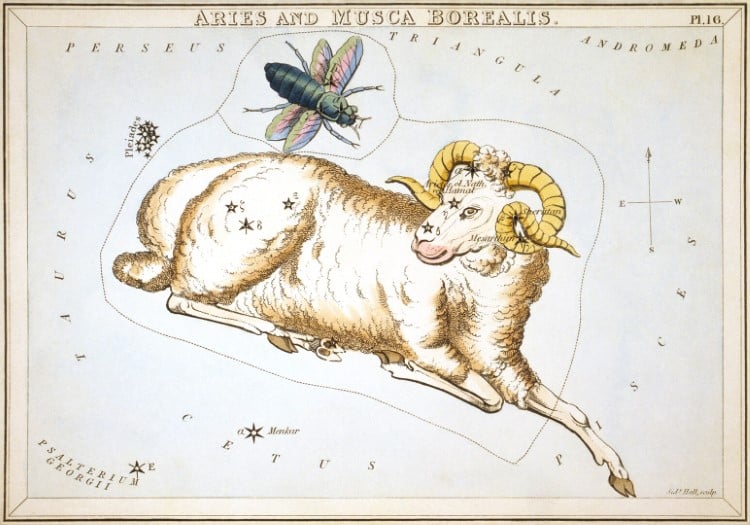 Illustration of Aries Constellation