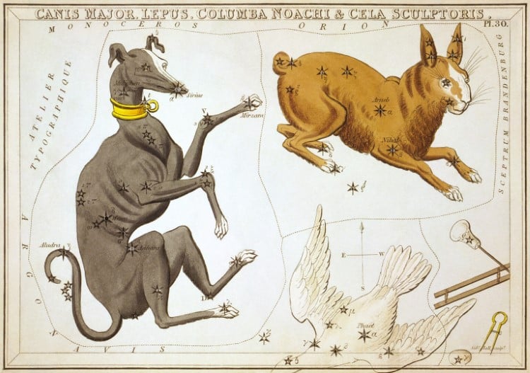 Illustration of Canis Major Constellation
