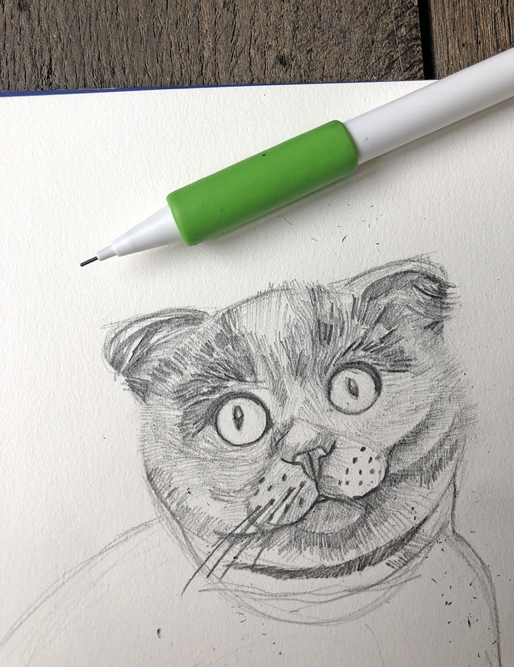 how to draw a cat 9