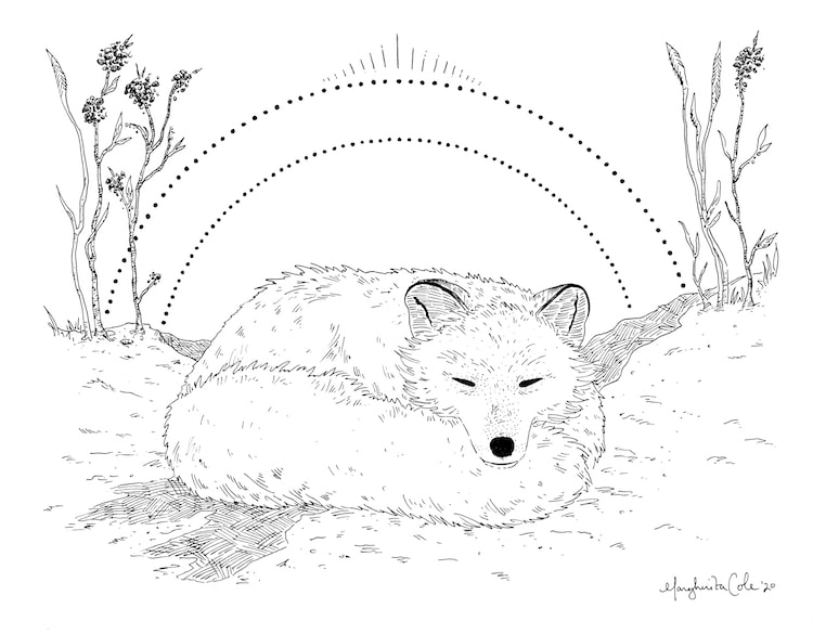 https://mymodernmet.com/wp/wp-content/uploads/2021/05/how-to-draw-a-fox-10.jpg