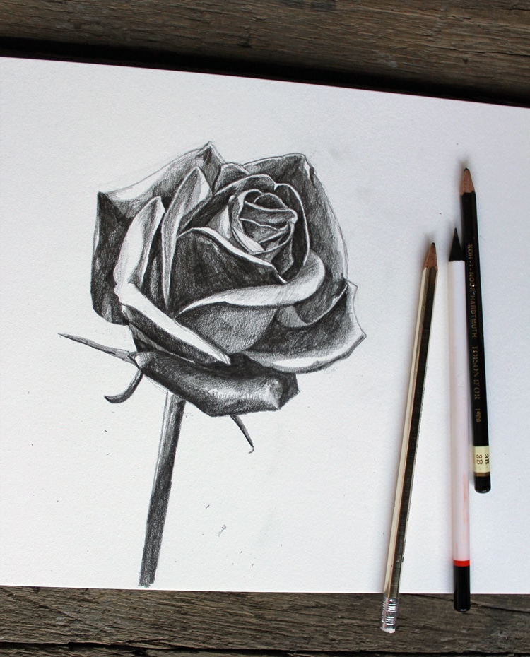 https://mymodernmet.com/wp/wp-content/uploads/2021/05/how-to-draw-a-rose-13.jpeg