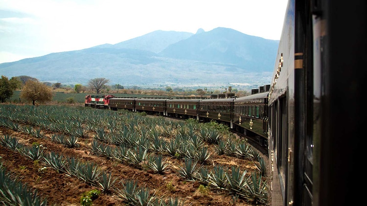 Tequila Train Jose Cuervo Express