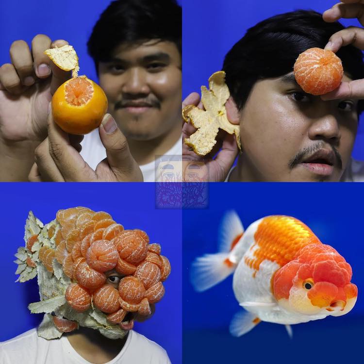 Cosplay avec une mandarine 