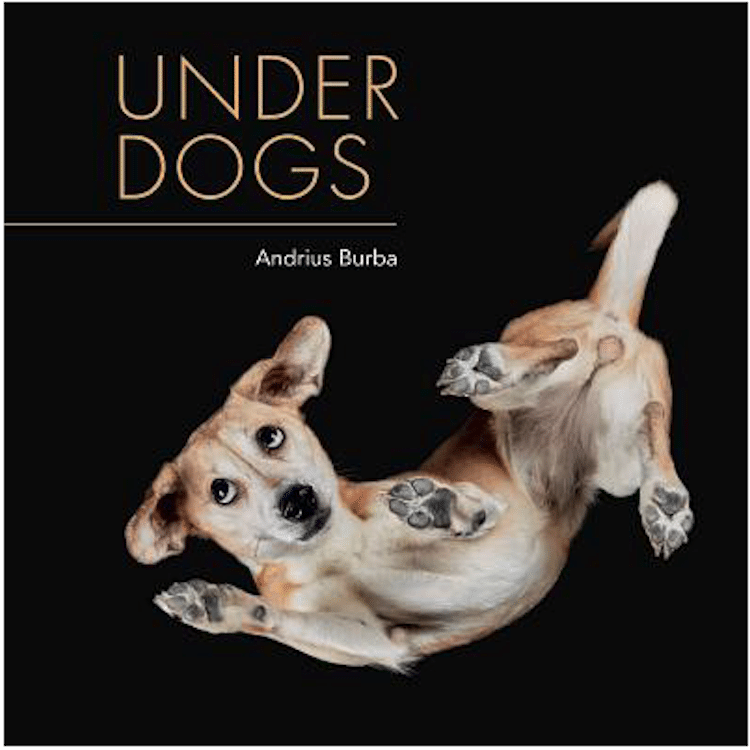 Photography Book of Photos of Dogs Underneath 