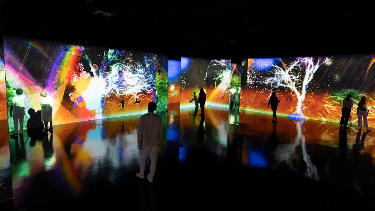 Immersive Digital Art by teamLab at CaixaForum Barcelona