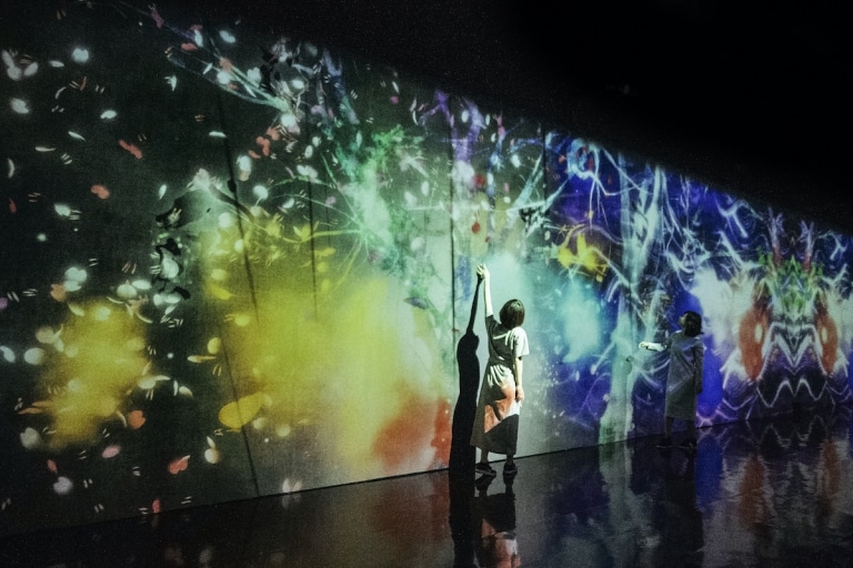 Interactive Digital Art Installation Immerses Viewers in Mesmerizing Worlds