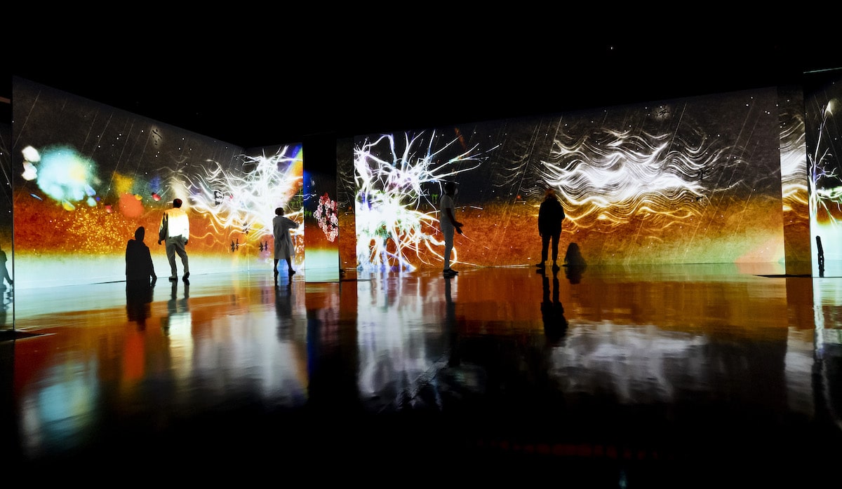 TeamLab Immersive Art Experience at CaixaForum Barcelona, â€‹â€‹Spain