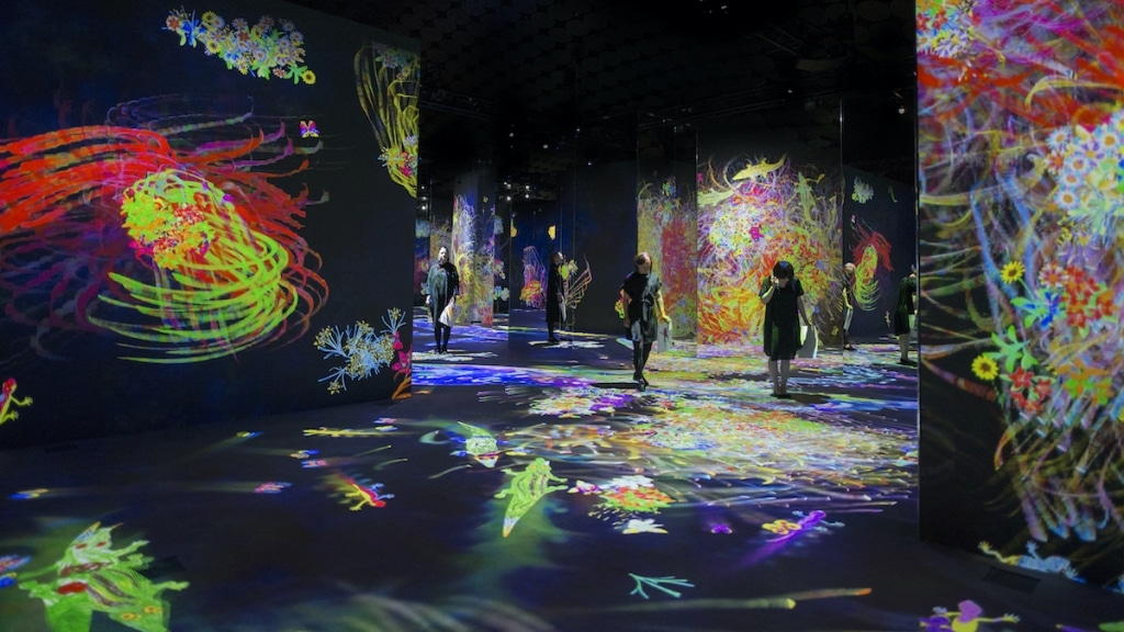 Interactive Digital Art Installation Immerses Viewers in Mesmerizing Worlds