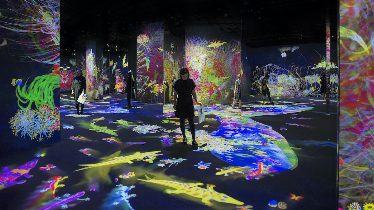 Immersive Digital Art by teamLab at CaixaForum Barcelona