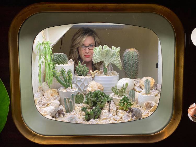 Television Terrarium With Cacti In It