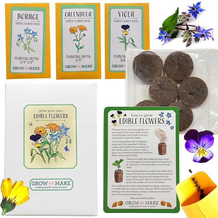 Edible Flower Kit