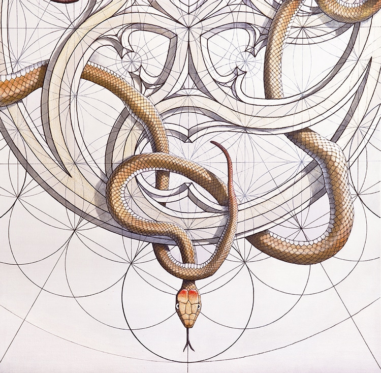 Download This Unique Coloring Book Is Inspired By The Golden Ratio