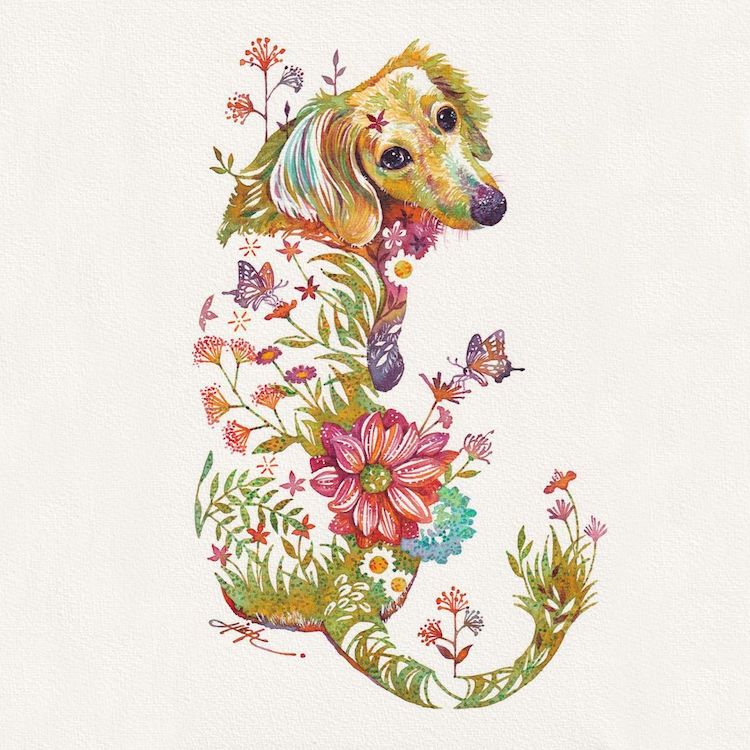 Hiroki Takeda gėlių gyvūnų iliustracijos