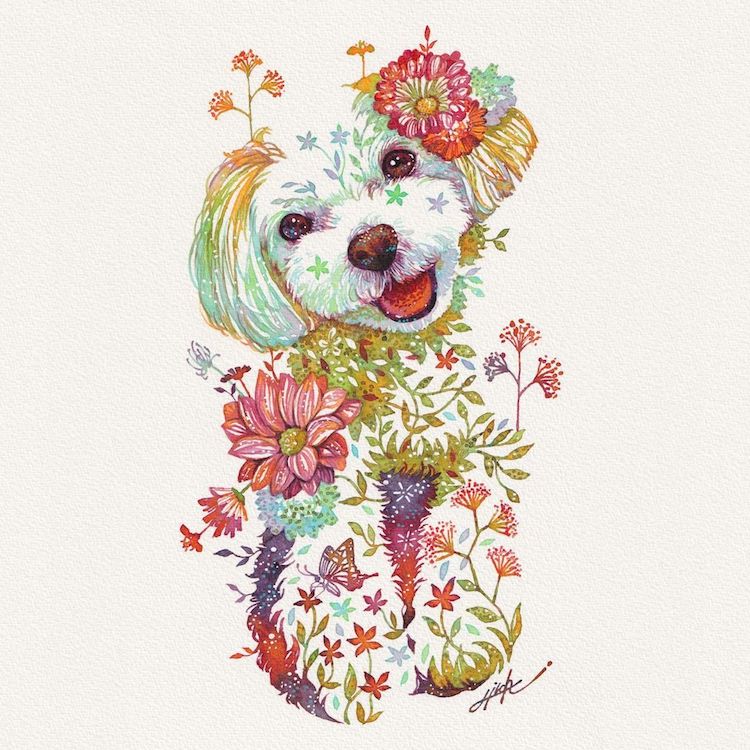 Illustrations florales d'animaux par Hiroki Takeda