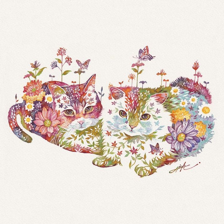 Hiroki Takeda gėlių gyvūnų iliustracijos