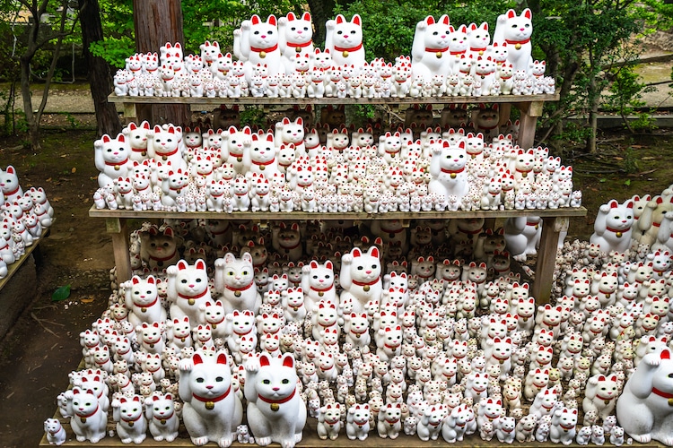 The Various Benefits of Each Maneki-Neko. Part.1 – J-MAISON STORE