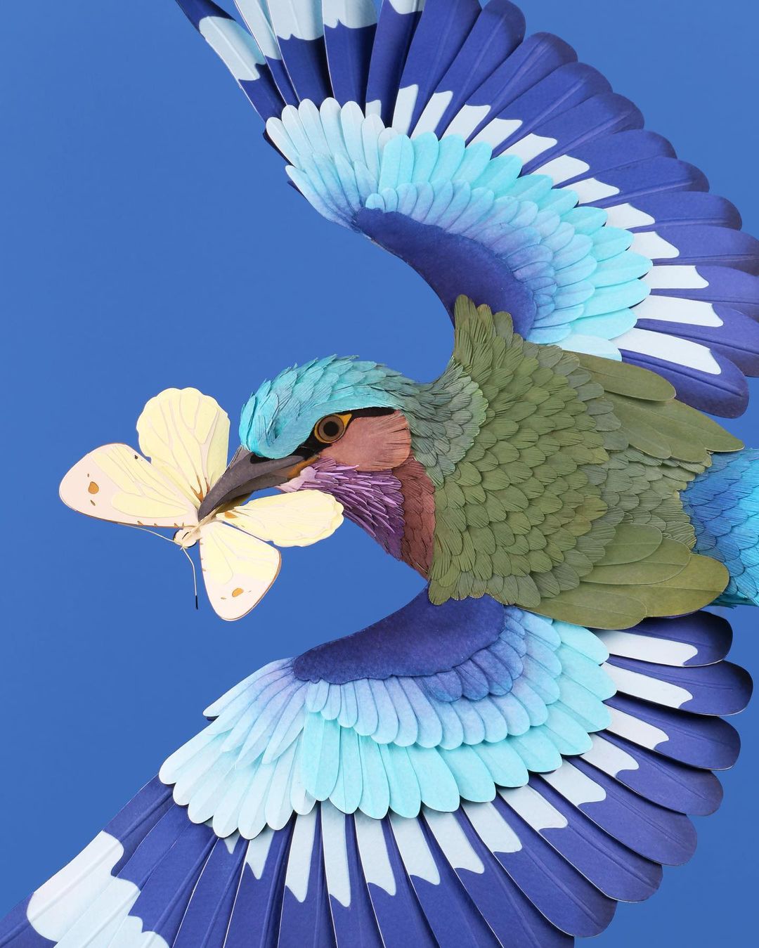 esculturas de papel de aves por Diana Beltrán Herrera