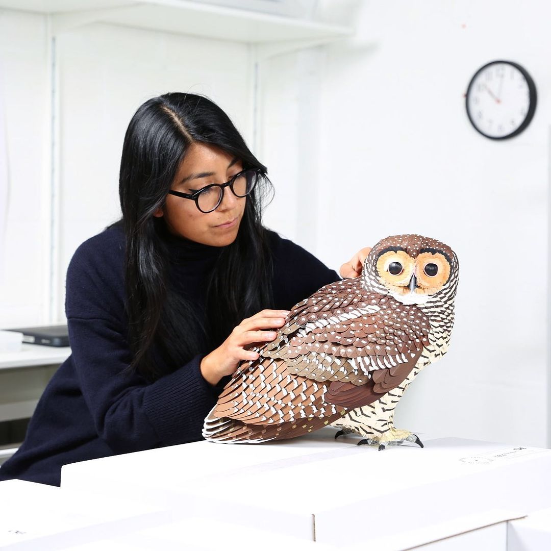 esculturas de papel de aves por Diana Beltrán Herrera