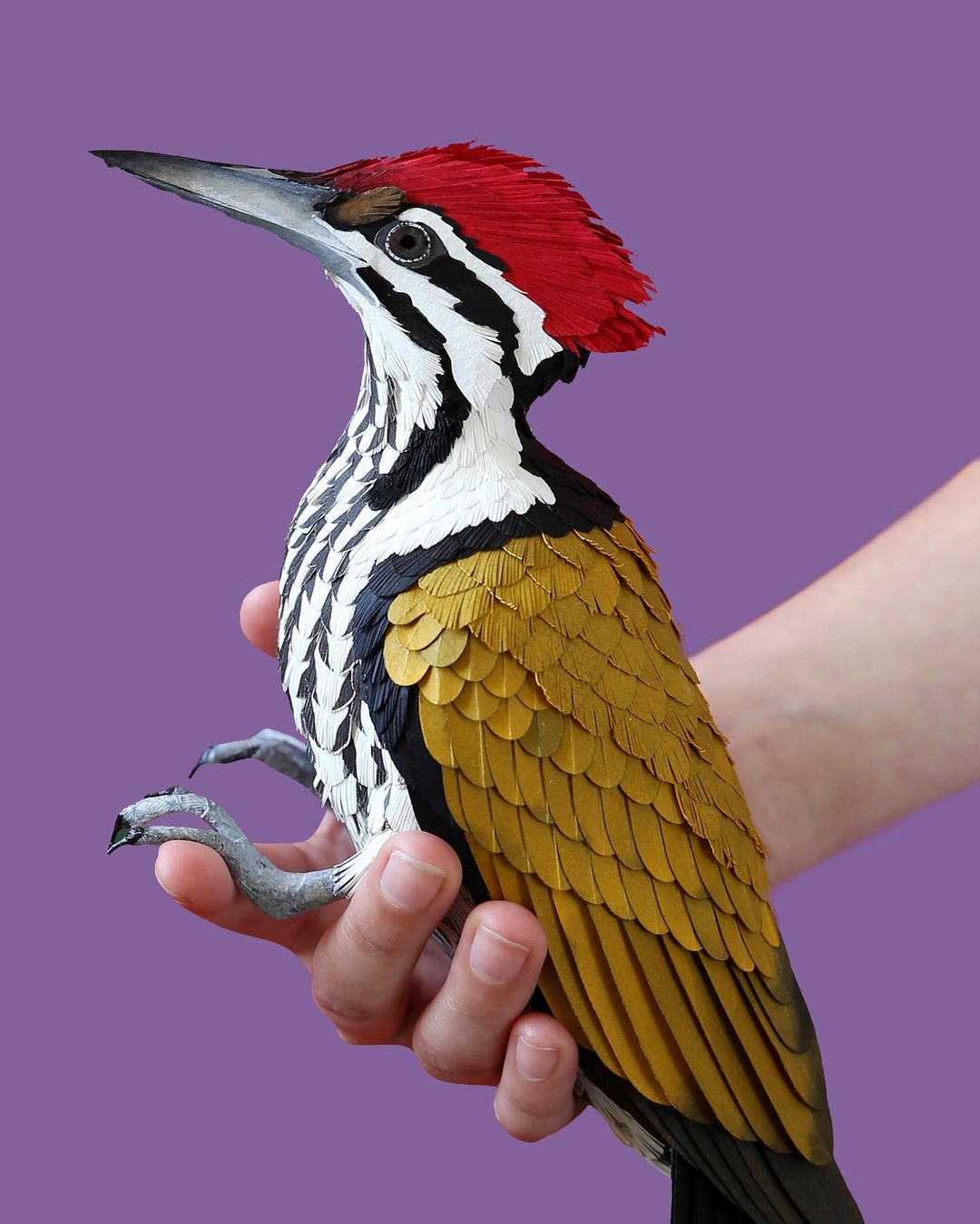 esculturas de papel de aves por Diana Beltrán Herrera