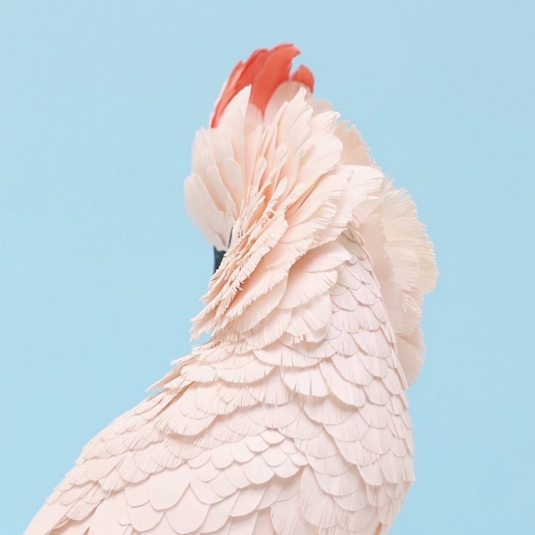 esculturas de papel de aves por Diana Beltrán Herrera