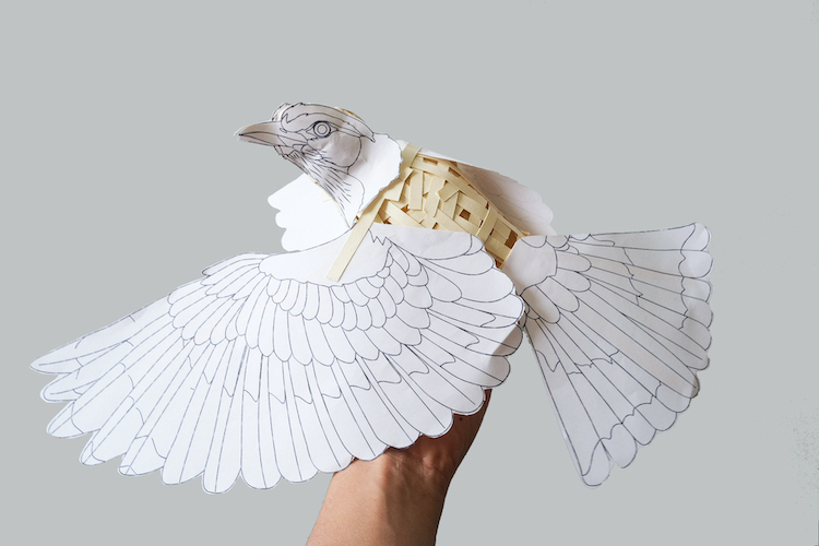 Paper Birds by Diana Beltrán Herrera