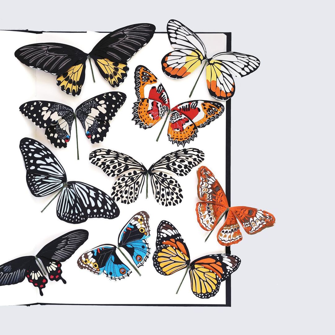 Paper Butterfly Sculptures by Diana Beltrán Herrera