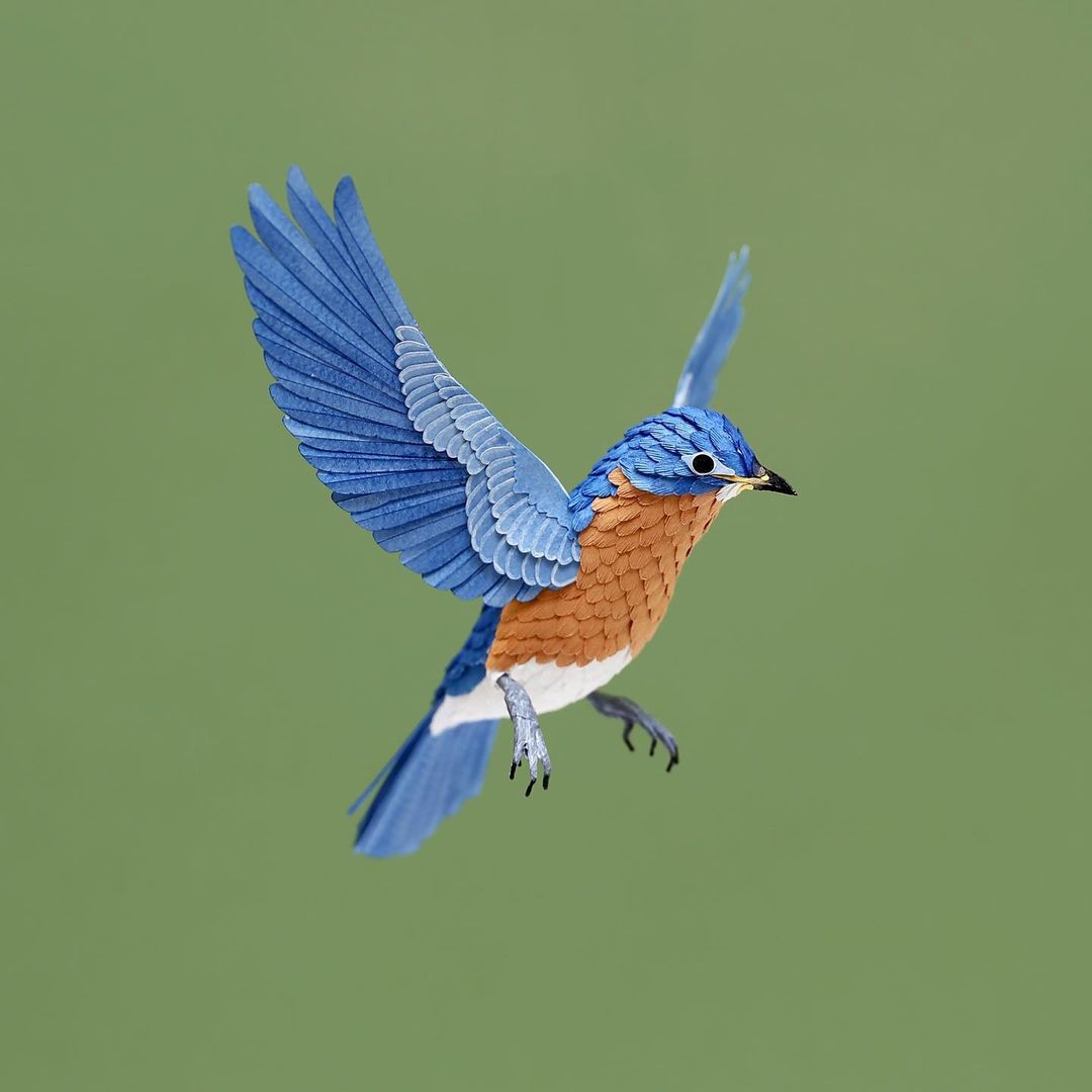 esculturas de papel de aves por Diana Beltrán Herrera