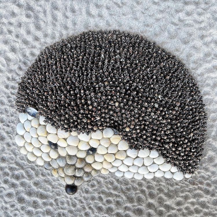 Muschelkunst Tierporträts von Anna Chan