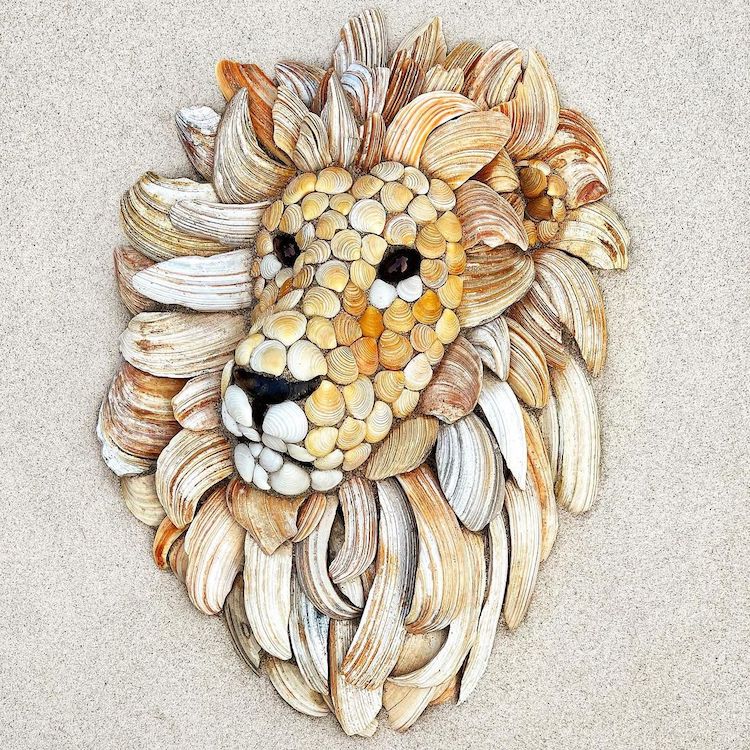 Artist Creates Charming Animal Portraits From Shells at the Beach
