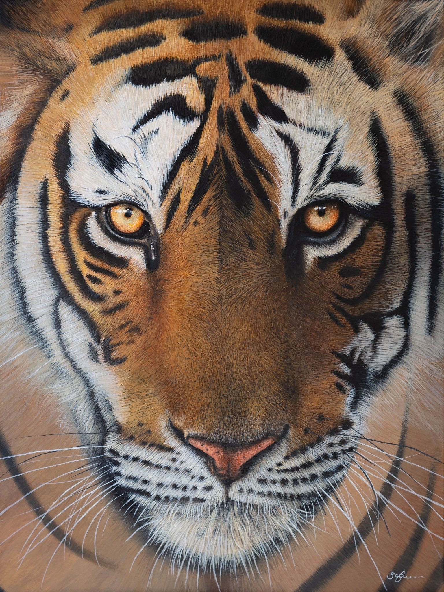 Animal Paintings by Sophie Green