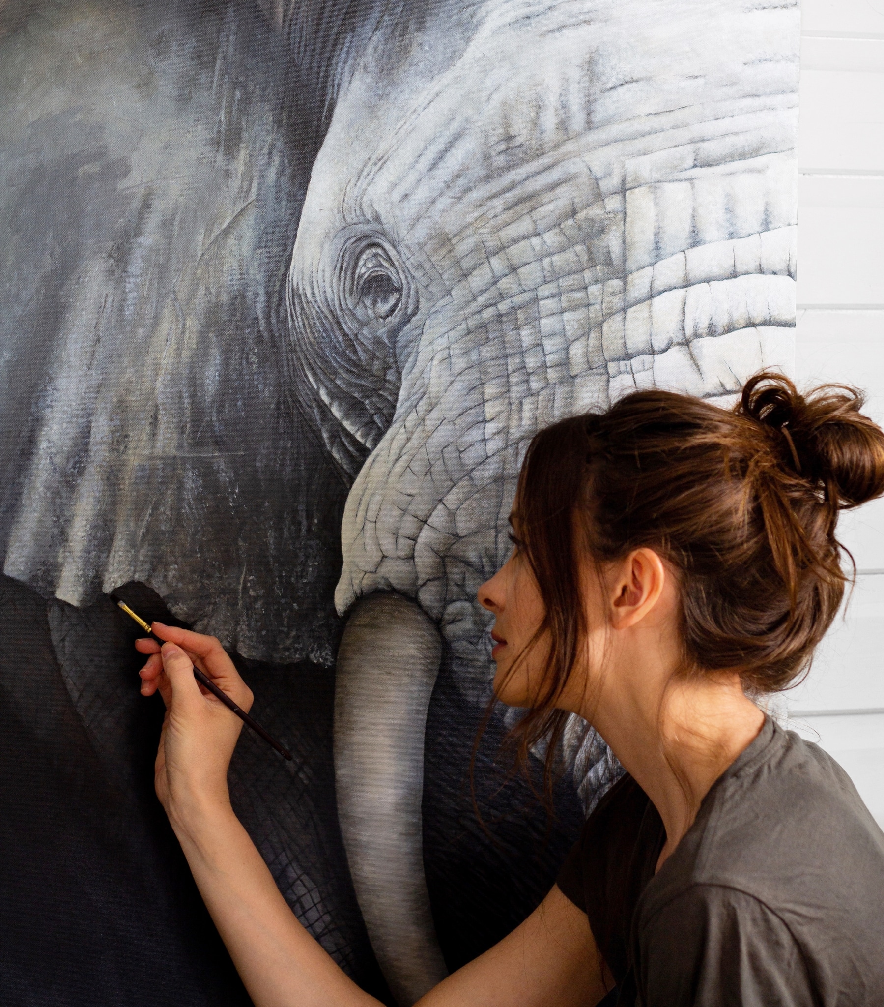 Animal Paintings by Sophie Green