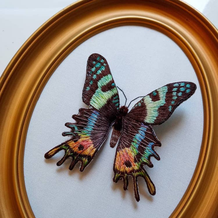 Stumpwork embroidery insects by Megan Zaniewski