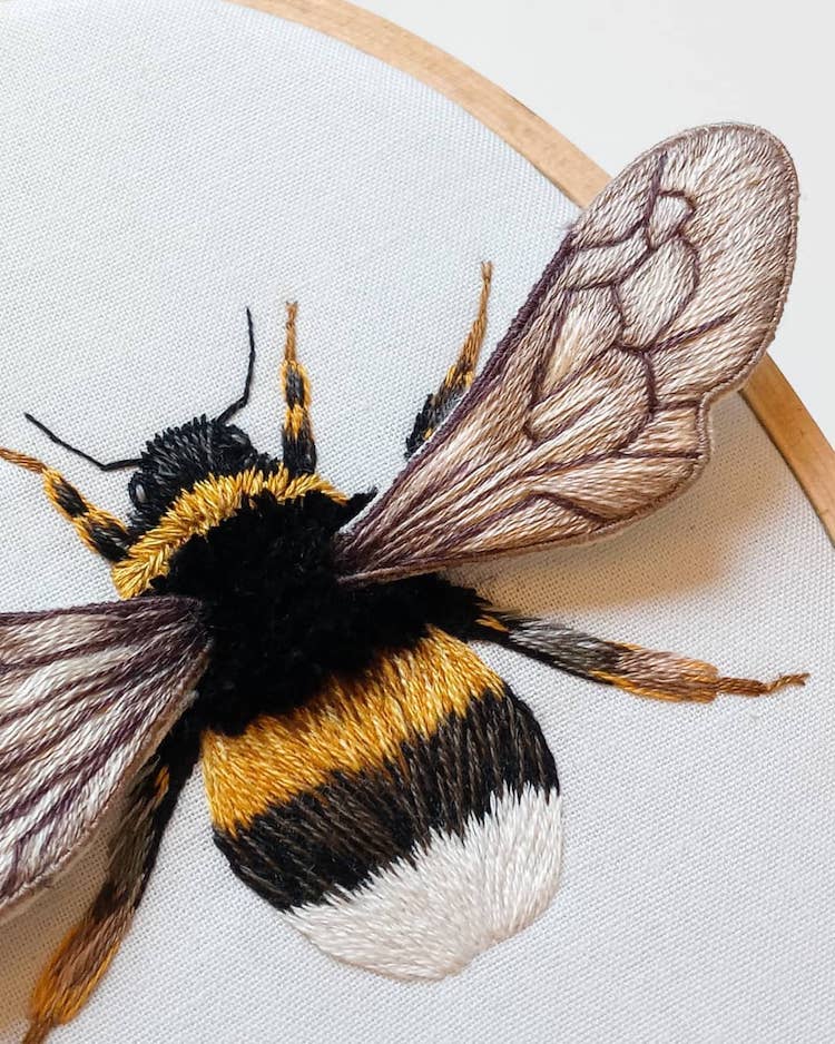 Stumpwork embroidery insects by Megan Zaniewski