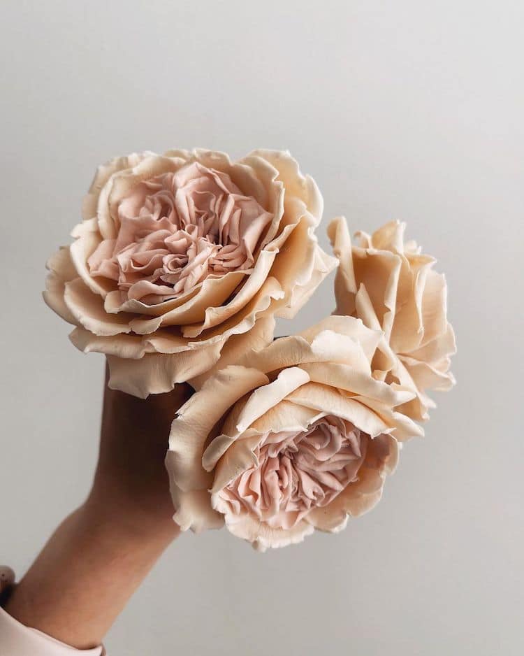 Fleurs en sucre réalistes de Finespun Cakes