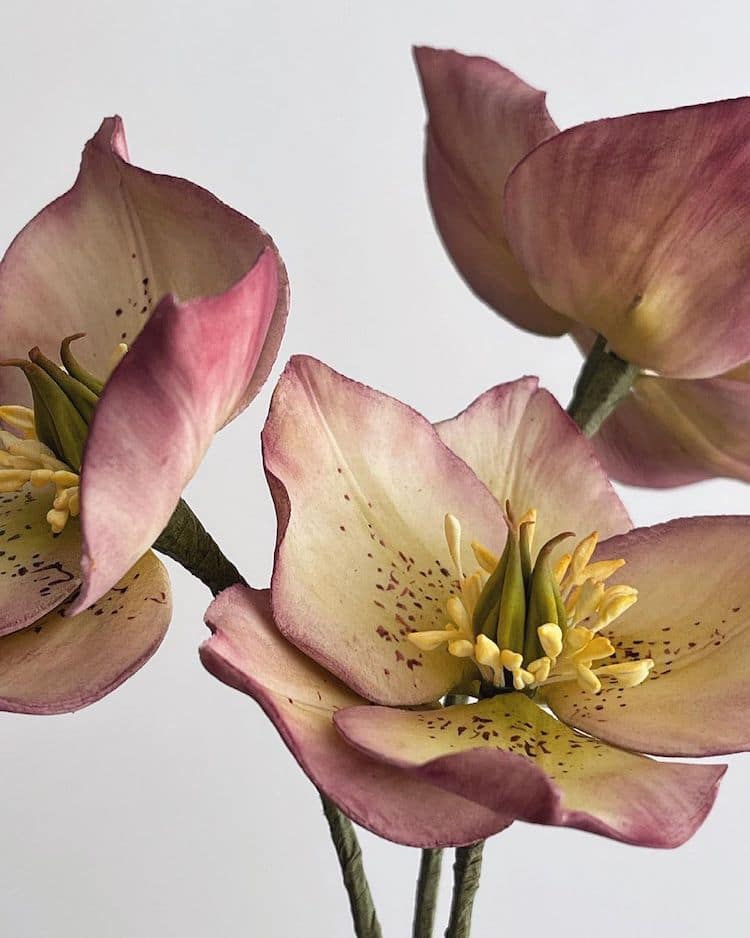 Fleurs en sucre réalistes de Finespun Cakes