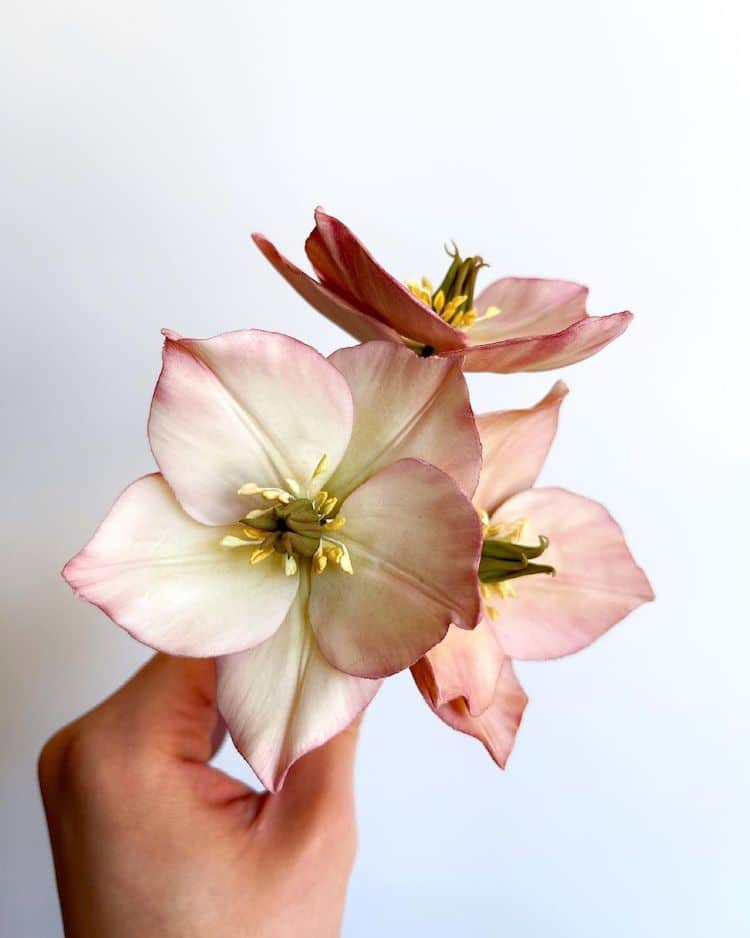 Flores comestibles de azucar – La Alacena del Pastelero