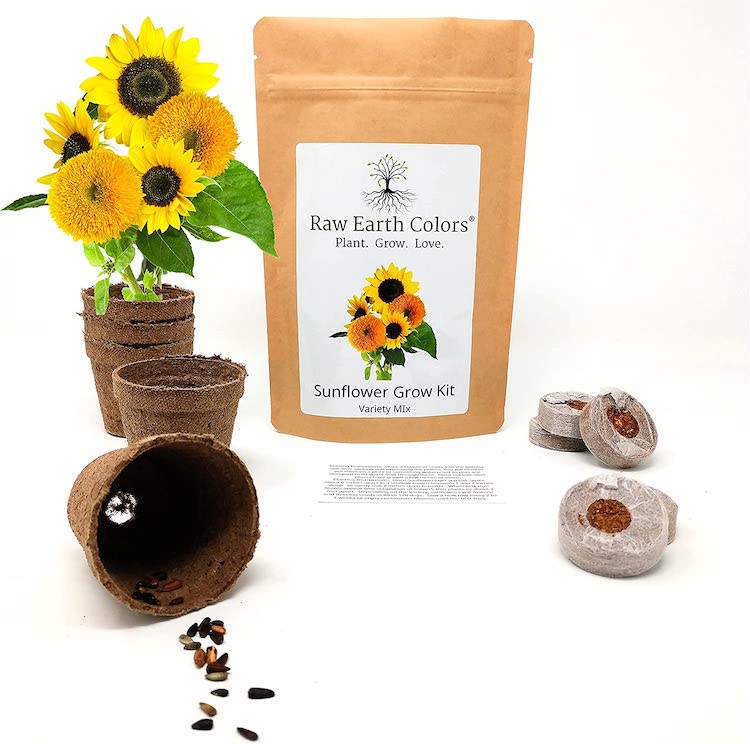 Sunflower Seed Kit