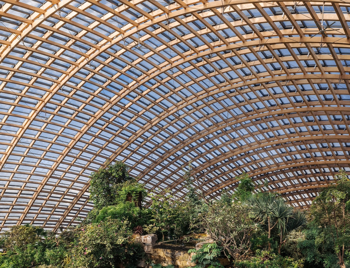 Interior Shot of Taiyuan Botanical Garden by Delugan Meissl Associated Architects