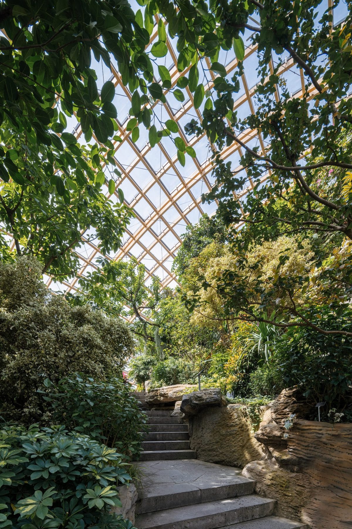 Interior Shot of Taiyuan Botanical Garden by Delugan Meissl Associated Architects