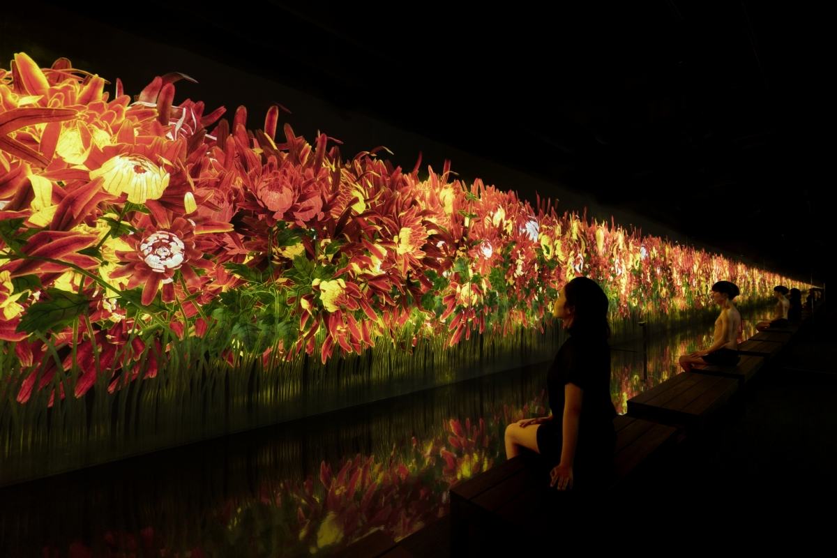 teamLab Reconnect Sauna et expérience artistique à Tokyo