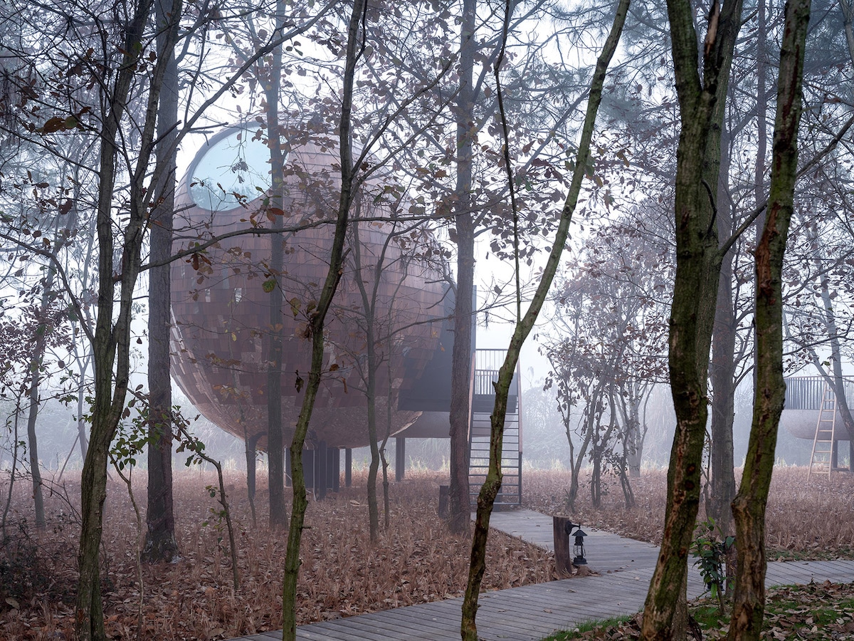 The Seeds Cabins in the Forests of Jiangxi